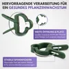 Plantenclips plantenklemmen tomatenclips - 100 stuks - Maat Productafbeelding-voorbeeld 5