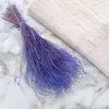 Federgras Getrocknete - (Stipa pennata) - Lavendel Produktbild-Vorschau 2