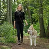 lionto Laisse multifonctions, laisse pour chiens réglable Voir les images du produit 3