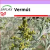 SAFLAX - vermút - Artemisia absinthum - 500 Semená Náhľad obrázku produktu 10