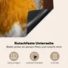 KitchenYeah© Herdabdeckplatte Rotkehlchen - Porträt - Vogel Produktbild-Vorschau 5