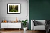 MuchoWow® Gerahmtes Poster Bäume - Wald - Moos - Pflanzen - Produktbild-Vorschau 8