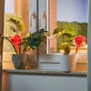 Relaxdays Bewässerungskugeln Glas, 4er Set, H x D: 30 x 9 Produktbild-Vorschau 2