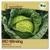 Samenliebe  Wirsing Samen | Vertus 2 - winterhart & groß - Produktbild-Vorschau 1