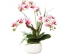 Umělá květina orchidej phalaenopsis v keramickém květináči Náhled obrázku produktu 1