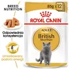 Royal Canin British Shorthair Adult, Dospelý, 85 g Náhľad obrázku produktu 5
