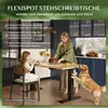 FLEXISPOT ValtreX E200 Höhenverstellbarer Schreibtisch 200 Produktbild-Vorschau 11