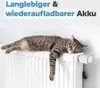 Shelly BLU TRV Heizkörperthermostat, inkl Produktbild-Vorschau 14