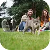 Furrever Friends CatVision Black plecak transporter dla Podgląd zdjęcia produktu 4