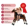 Cavallo meccanico Ponnie Happy XL PROFI Anteprima dell’immagine prodotto 5