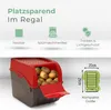 Novaliv Gemüsebox Set rot Kartoffel Aufbewahrungsbox Produktbild-Vorschau 3