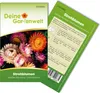 Strohblumen Gefüllte Mischung Samen - Helichrysum Produktbild-Vorschau 1