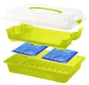 Rotho Tortenglocke COOL & FRESH - Tortenbehälter 43,5 x Produktbild-Vorschau 2