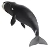 Safari Ltd 205529 Grönlandwal 21 cm Serie Wassertiere Produktbild-Vorschau 2