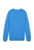 Puma Teamgoal Sweat Kinder - Royal Produktbild-Vorschau 9