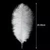 Piume Piume di struzzo, circa 20-30 cm, 20 pezzi, bianco Anteprima dell’immagine prodotto 4