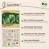 Samenliebe  Gurke Samen | Vorgebirgstrauben - knackige & Produktbild-Vorschau 3