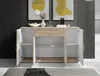 Kommode / Sideboard LILLY 13 in Eiche Sonoma 117 cm breit Produktbild-Vorschau 5