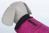 TRIXIE Arlay, pelo di cane, XXS 21cm, mirtillo Anteprima dell’immagine prodotto 9
