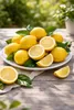 Citrus limon Femminello Siracusano Zitronenbaum 120–160 cm Produktbild-Vorschau 2