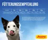 A dog is shown in front of a blue sky with clouds, with a feeding recommendation chart and a brand logo. Produktbild-Vorschau