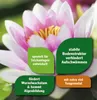 Teicherde FloraSelf 20 L Produktbild-Vorschau 3