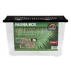 Fauna Box Large 37x22x24,5 cm – großes Kunststoff Terrarium Produktbild-Vorschau 1