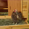Voliéra pre hydinu Vonkajší výbeh Domček pre malé zvieratá Náhľad obrázku produktu 6