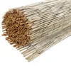 Windhager Schilf Sichtschutzmatte, 1 m hoch, stabil mit Produktbild-Vorschau 1