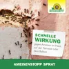 Neudorff AmeisenStopp Spray 300 ml Ameisenspray für Innen Produktbild-Vorschau 6