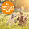 Ardap Anti Floh Hunde Shampoo 250Ml Produktbild-Vorschau 8