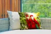 MuchoWow® Outdoor Kissen - Papageien - Vögel - Dschungel - Produktbild-Vorschau 3
