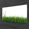 Acrylglasbilder 100x50 Wandbild Druck Gras Natur Produktbild-Vorschau 2
