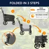 Beach Wagon Bollerwagen PUSH, Handwagen mit Schiebestange Produktbild-Vorschau 4