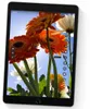Apple iPad , 25,9 cm (10.2"), 2160 x 1620 Pixel, 64 GB, Produktbild-Vorschau 30