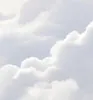 Türtapete Türposter Türfolie selbstklebend Wolken Produktbild-Vorschau 10