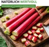 Rhabarber Victoria Samen - Rheum rhabarbarum - Produktbild-Vorschau 6