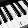 kwmobile Klavier Keyboard Noten Aufkleber - für 49 61 76 88 Produktbild-Vorschau 1