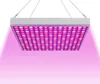 Peviasot 15W 225pcs Lampe Perlen Pflanzenlampe Produktbild-Vorschau 9