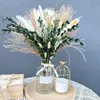 Pampasgras Getrocknet 65 Stück DIY Natürliche Trockenblumen Produktbild-Vorschau 3