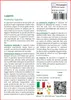 SAFLAX  - Luppolo - 50 semi - Con substrato - Humulus Anteprima dell’immagine prodotto 3