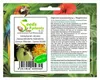 10x Conophytum calculus Zwergsukkulente Sukkulente Zimmer Produktbild-Vorschau 1