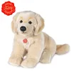 Golden Retriever, 30 cm, Plüsch Produktbild-Vorschau 6