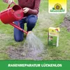 Neudorff Rasenreparatur LückenLos 2,5kg Nachsaat - Produktbild-Vorschau 6