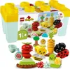 LEGO® DUPLO® 10984 Jardin Voir les images du produit 27