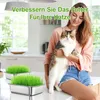 Sprossenglas & Keimschale Set,Edelstahl Keimgerät für Produktbild-Vorschau 6