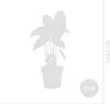Bloomique - Alocasia Pink Dragon - Oreille d'éléphant - Voir les images du produit 6
