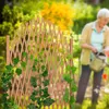 Relaxdays Rankgitter Holz, ausziehbar, freistehend, Garten, Produktbild-Vorschau 6