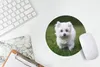MuchoWow® Mauspad Mousepad Malteser Hund auf einer Wiese Produktbild-Vorschau 5