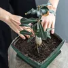 GROW2GO Kakteen Starter Kit Anzuchtset - Pflanzset aus Produktbild-Vorschau 4